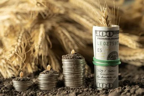 Money Stock Photos