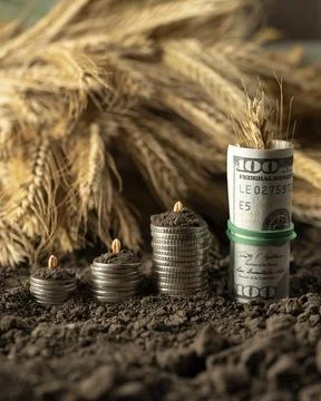 Money Stock Photos