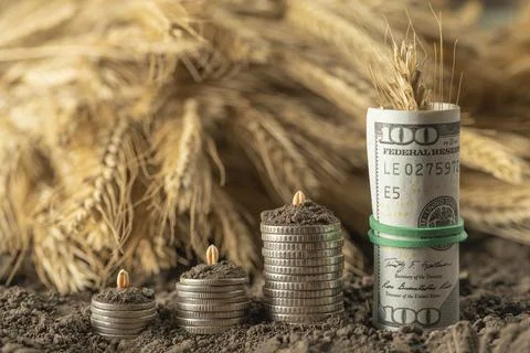 Money Stock Photos