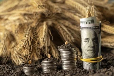 Money Stock Photos