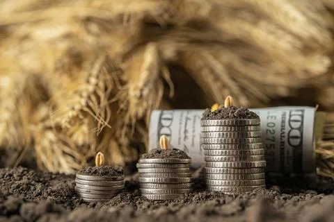 Money Stock Photos