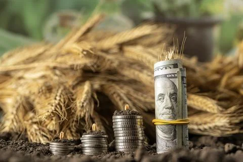 Money Stock Photos