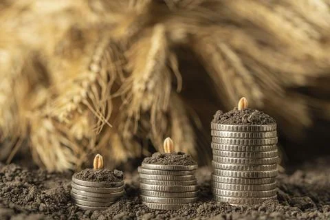 Money Stock Photos