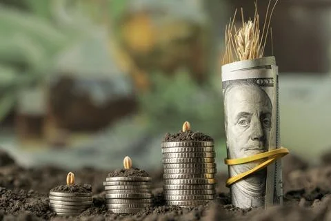 Money Stock Photos