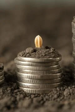 Money Stock Photos