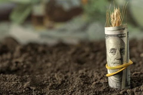 Money Stock Photos