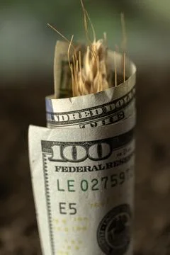 Money Stock Photos