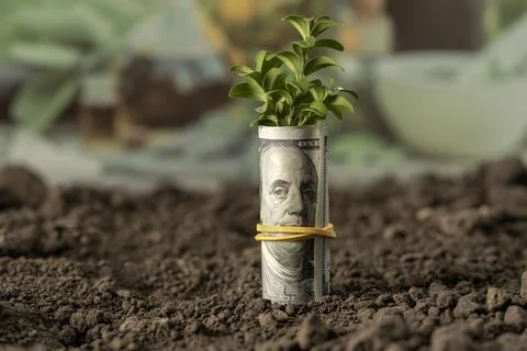 Money Stock Photos