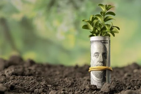 Money Stock Photos