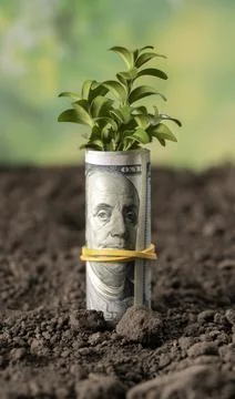 Money Stock Photos