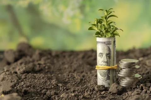 Money Stock Photos