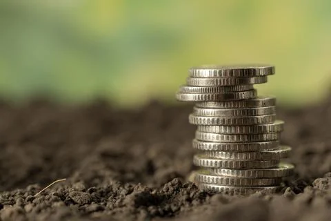 Money Stock Photos
