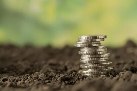 Money Stock Photos
