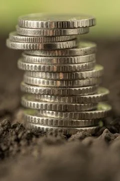 Money Stock Photos