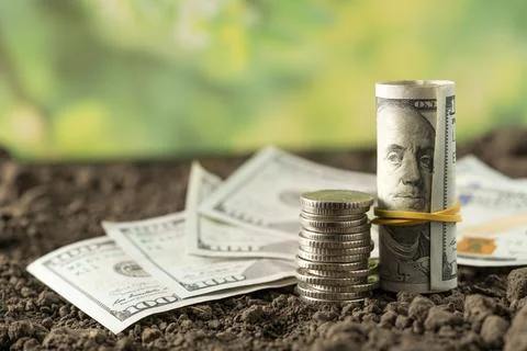 Money Stock Photos
