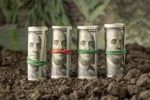 Money Stock Photos