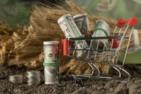 Money Stock Photos