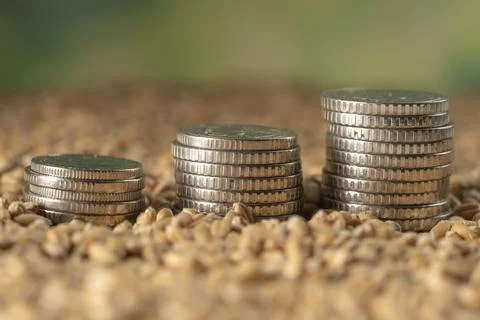 Money Stock Photos