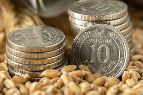 Money Stock Photos
