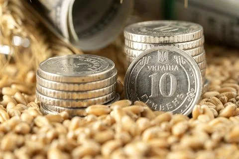 Money Stock Photos