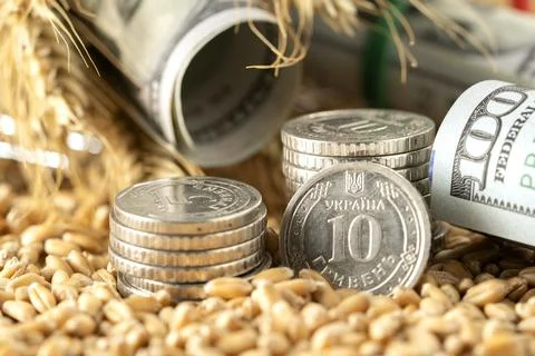 Money Stock Photos