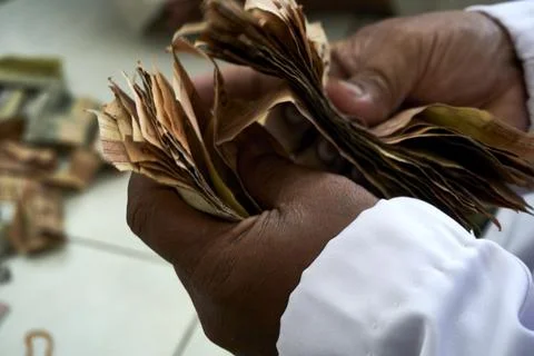 The Money Stock Photos
