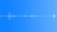 Money: Picking Up Coins, Counting Money on a Table - Foley, StereoSound Effect