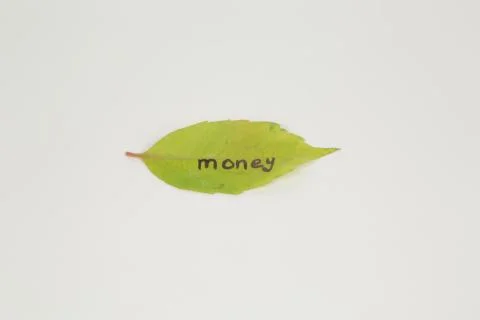 Money the post on the leaf Stock Photos