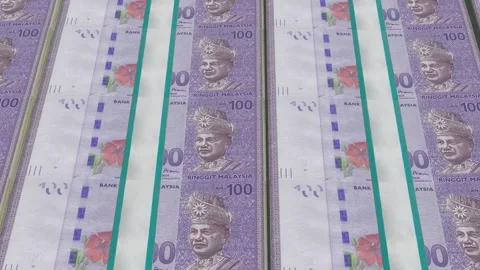 Money Ringgit Malaysia Bundle animation Stock Footage 309340204