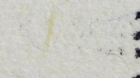 Money Scan Texture 10 Stock Footage 318715653