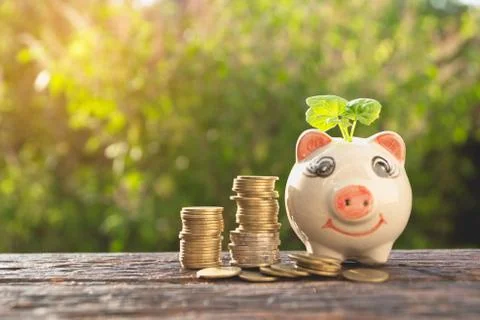 Money stack step growing money and piggy bank, Concept finance business and s Foto stock