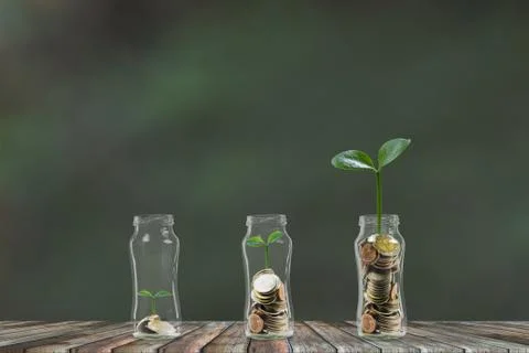 Money step by step growing, A stack of coins growing in 3 glass jar. Saving m Stock Photos