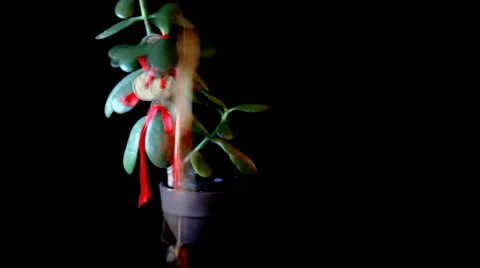 Money from Thin Air Stock Footage 5123119