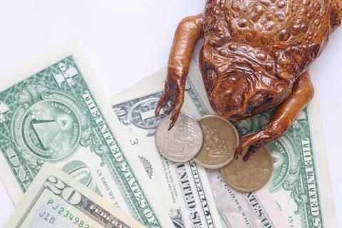 Money Toad with US Dollars and Coins Stockfoto's