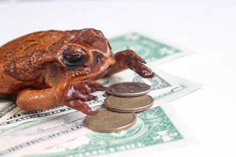 Money Toad on US Dollars and Coins for Wealth and Prosperity 库存照片