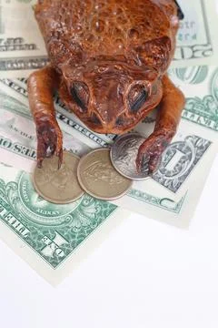 Money Toad on US Dollars and Coins Stock Photos