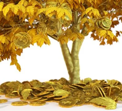 Money tree with coin's on isolate white background close up 3d illustration Stock Illustration