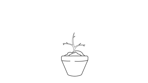 Money tree growing from a single coin in a simple line animation Stock Footage 340466449