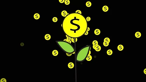 Money tree growing video illustration Stock Footage 219316853