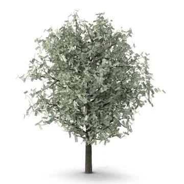 Money tree Stock Illustration