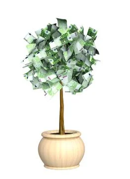 Money tree Stock Illustration