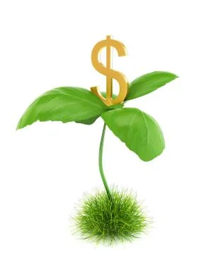 Money tree Stock Illustration