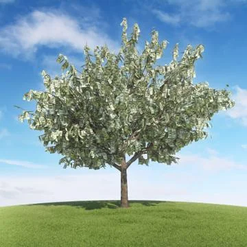 Money tree Stock Illustration