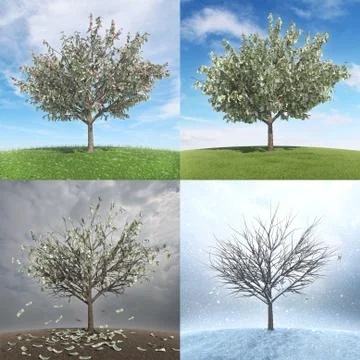 Money Tree Stock Illustration