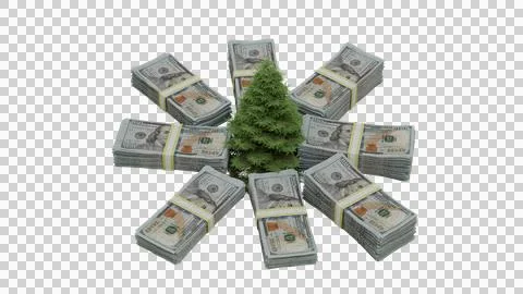Money tree isolated on transparent background with stacks of dollar bills 库存插图