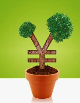 Money tree Stock Photos