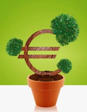 Money tree Stock Photos