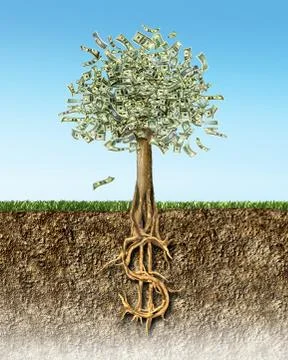 Money tree in soil cross section showing US Dollar sign roots. Stock Illustration