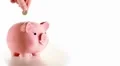 Moneybox - pig HD Footage