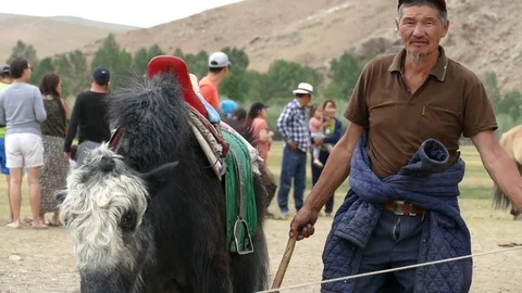 Mongol leads a yak with a saddle. Video stock 90670583